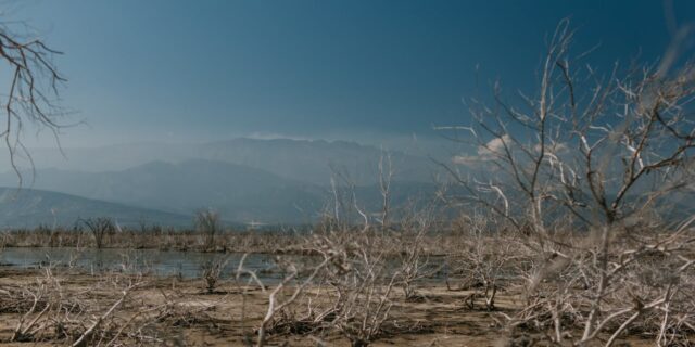 La producción sostenible y el cambio climático